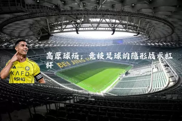 高原球场:竞技足球的隐形战术杠杆